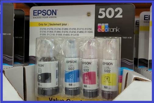 Epson 502 and 522 ink 2